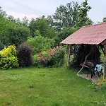 Zielone Zacisze Zwola *