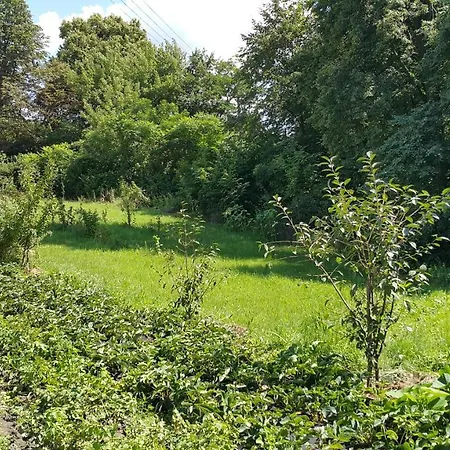 Dom wakacyjny Zielone Zacisze Zwola *