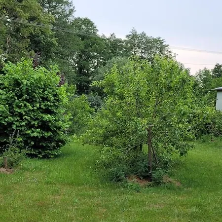 Zielone Zacisze Zwola *