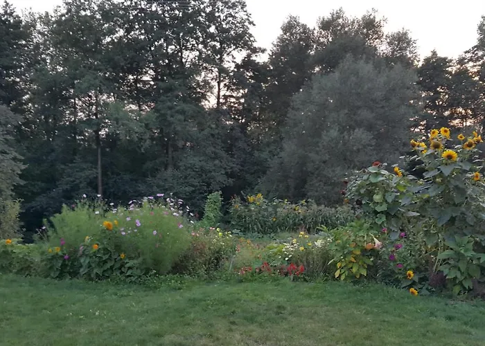 Zielone Zacisze Zwola بيت للعطل *