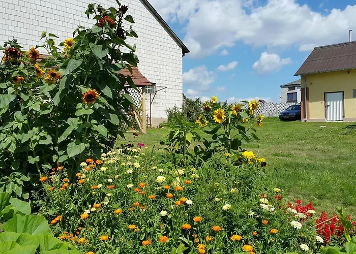 Zielone Zacisze Zwola *