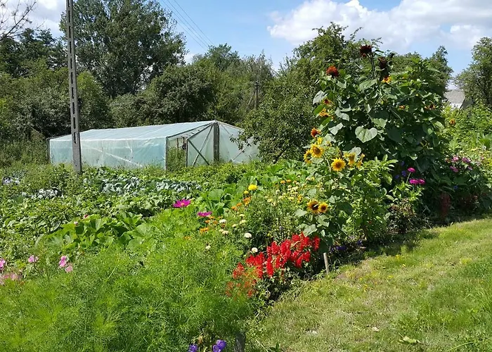 Zielone Zacisze Zwola بيت للعطل