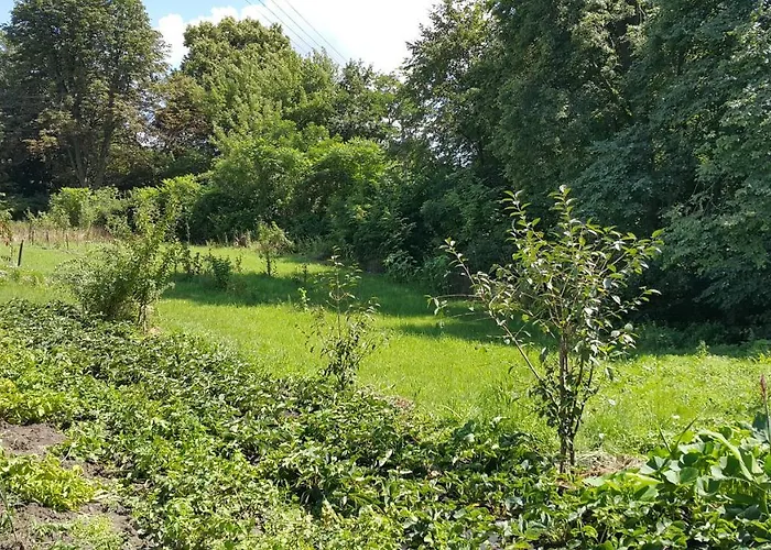 بيت للعطل Zielone Zacisze Zwola *