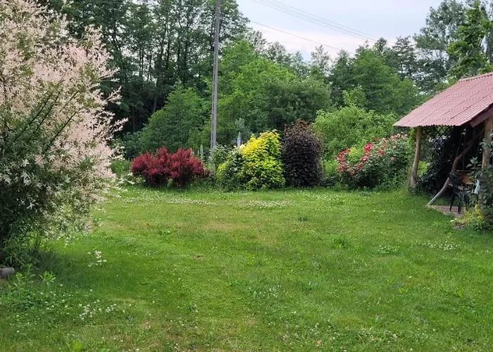 Zielone Zacisze Zwola بيت للعطل Zwola Stara