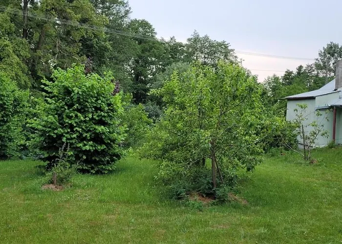 Zielone Zacisze Zwola *