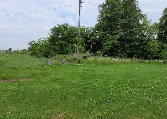 Zielone Zacisze Zwola بيت للعطل Zwola Stara