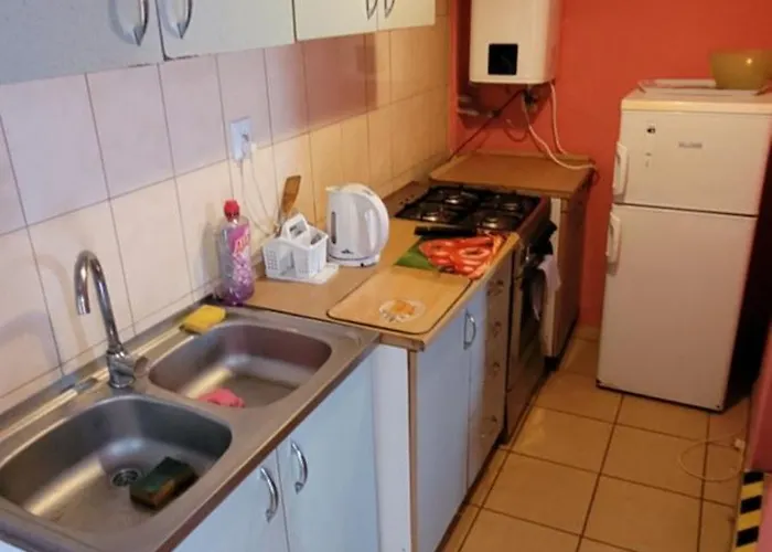 Zielone Zacisze Zwola *