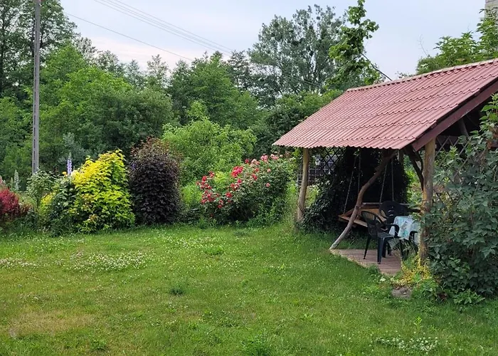 Zielone Zacisze Zwola *