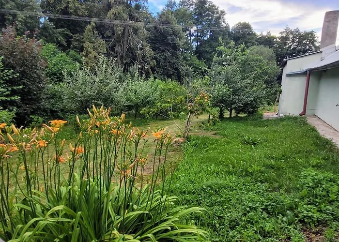 Zielone Zacisze Zwola Zwola Stara